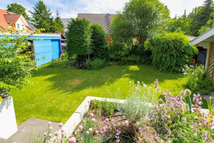 Blick in den Garten