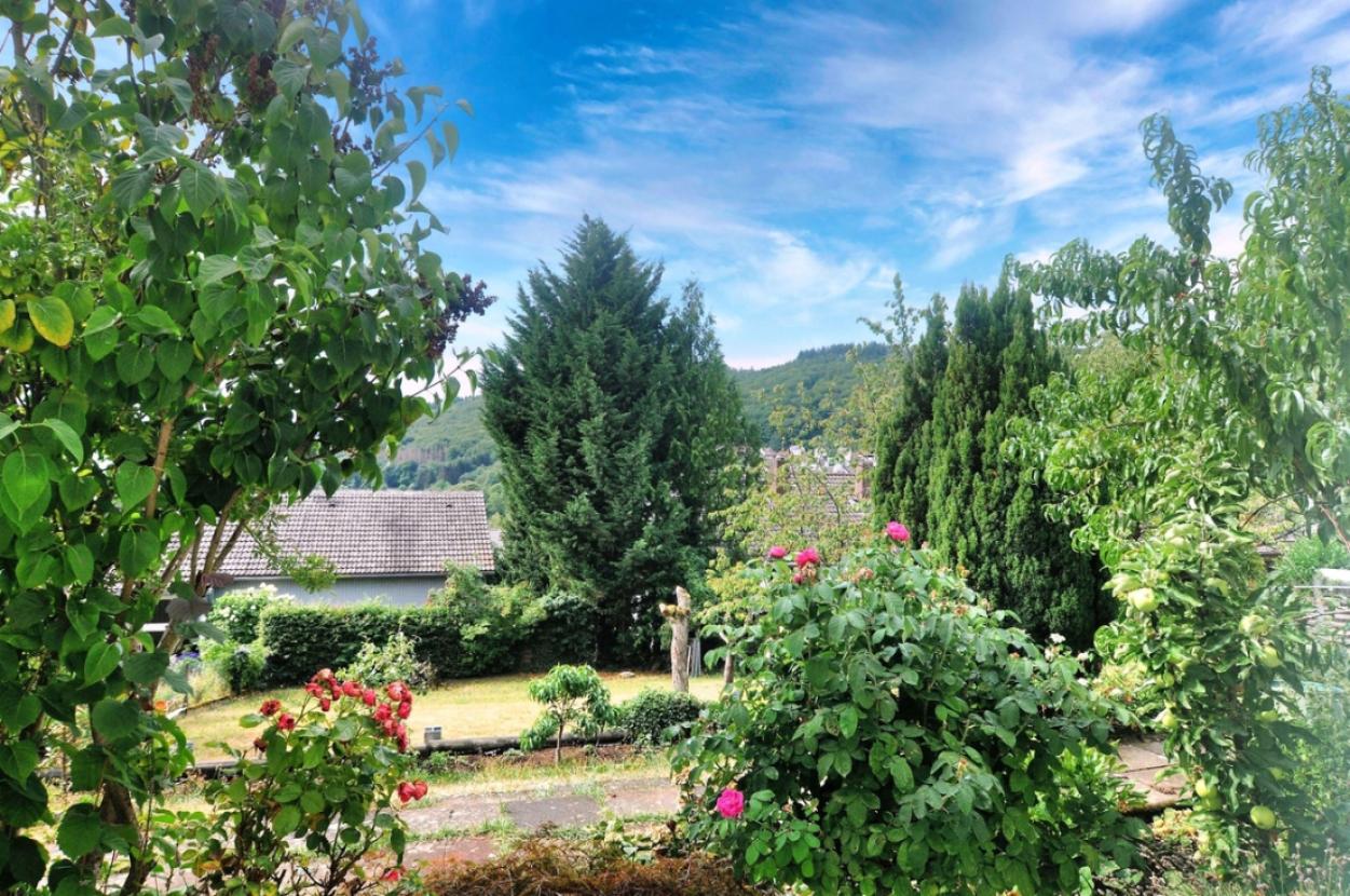 Blick in den Garten
