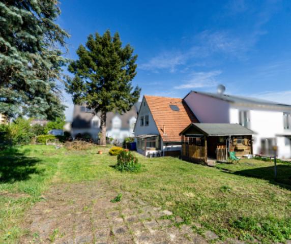 Bild1