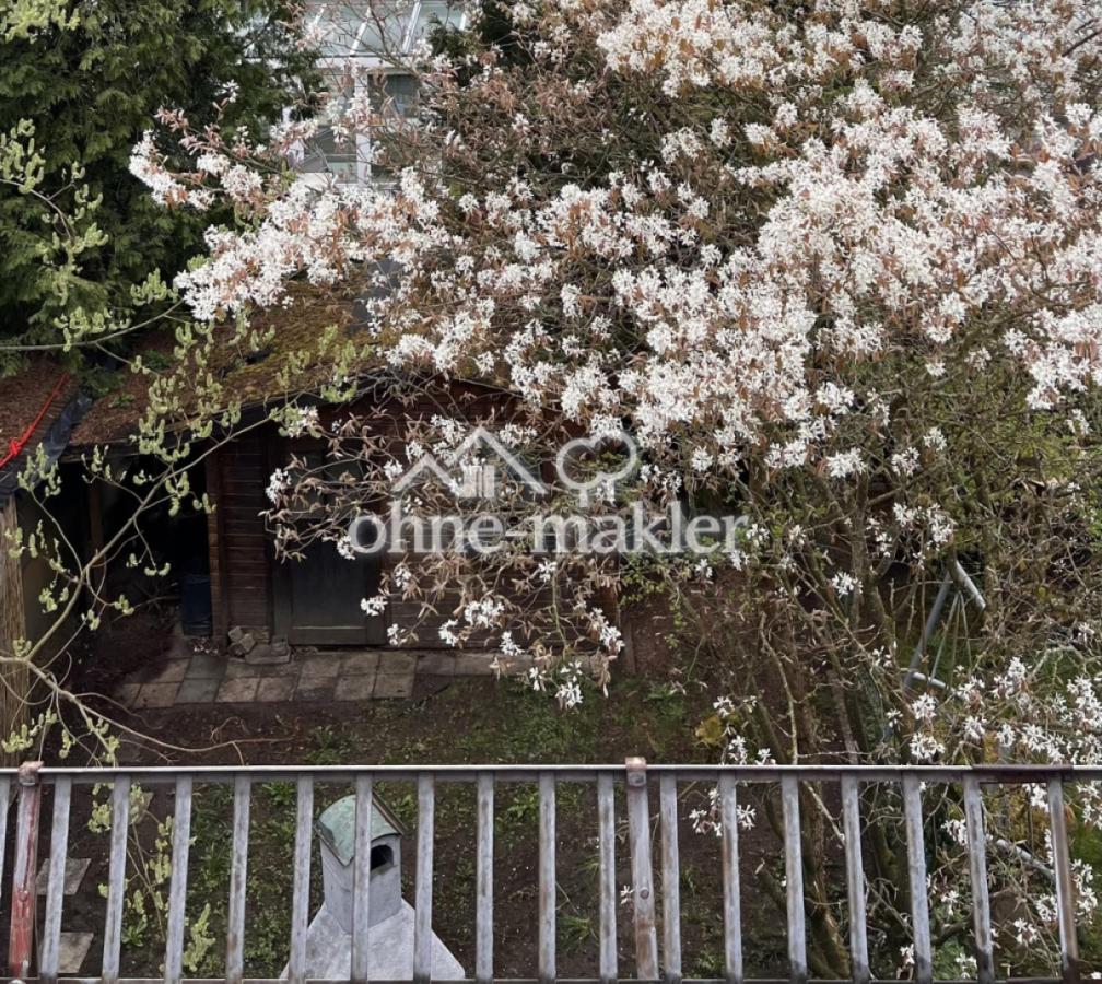 Blick vom Studio in Garten
