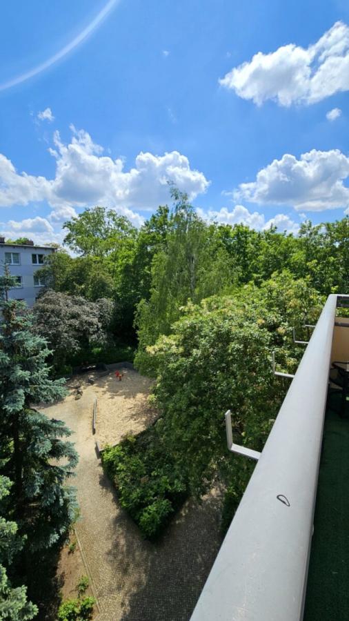 Ausblick