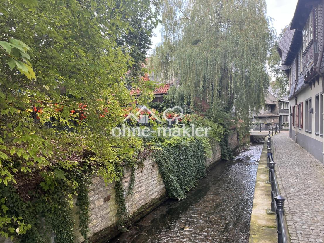 An der "Abzucht"