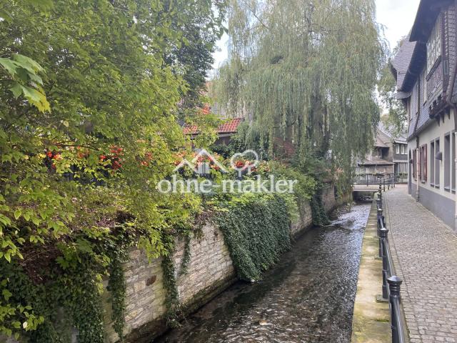 An der "Abzucht"