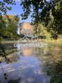 Teich