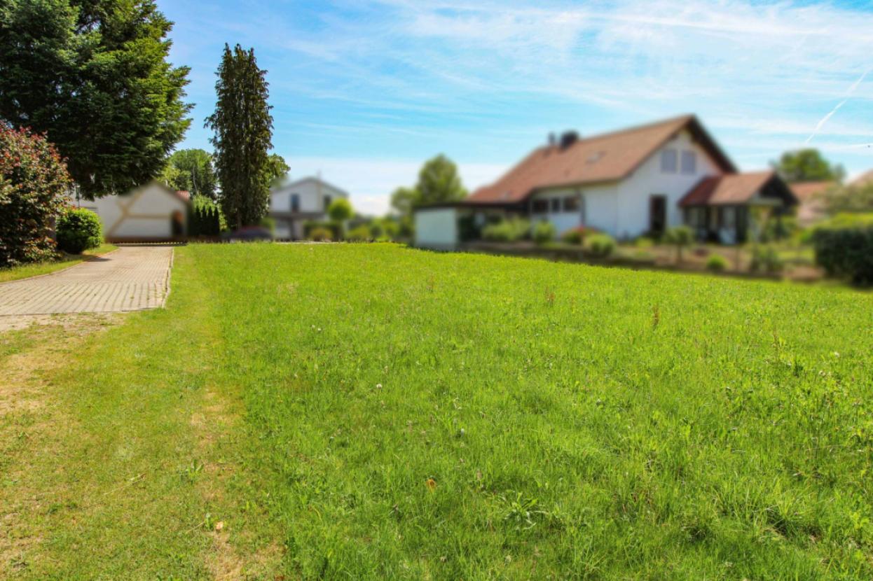 Blick zur Strasse