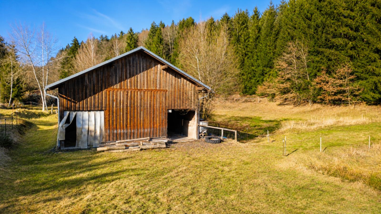 Pferdestallung/Offenstall