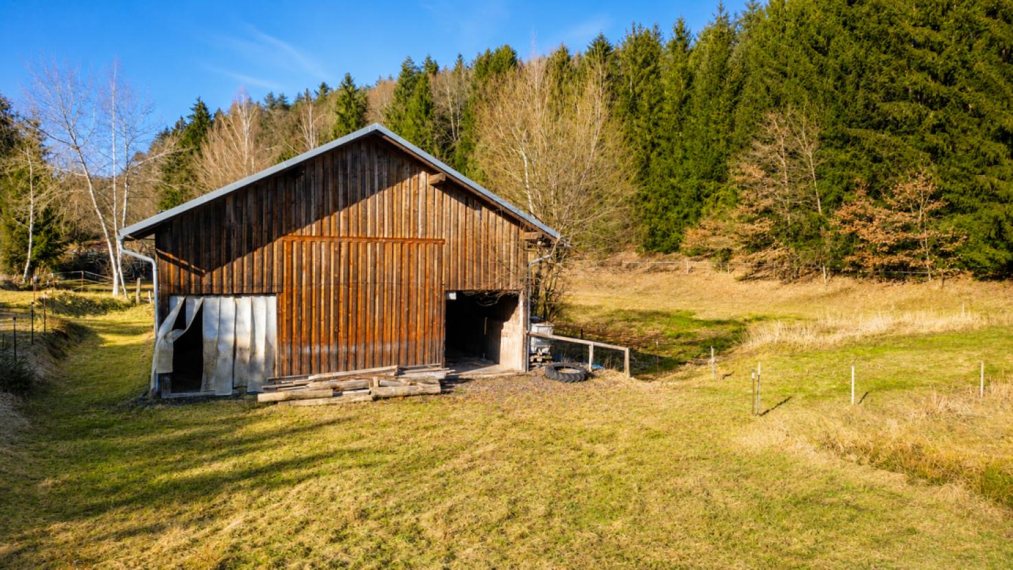 Pferdestallung/Offenstall