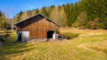 Pferdestallung/Offenstall