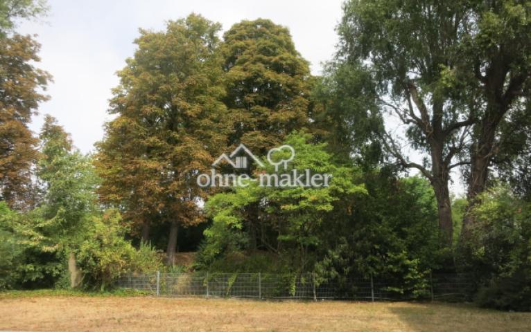 Gartenblick