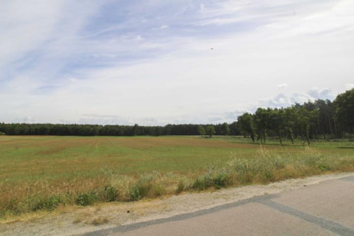 Grundstück(1)