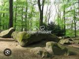 "Aaper Wald" Naturschutzgebiet