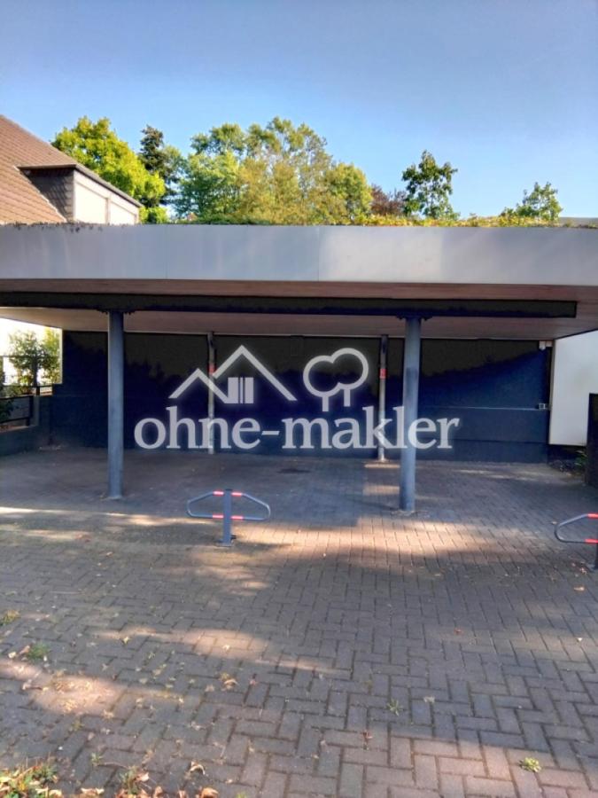 Dreier-Carport bepflanzt