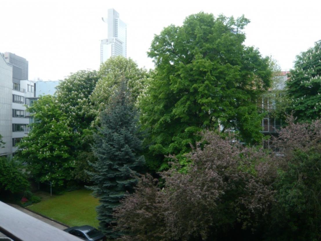 Aussicht vom Balkon