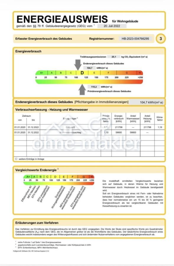 Energieausweis Auszug
