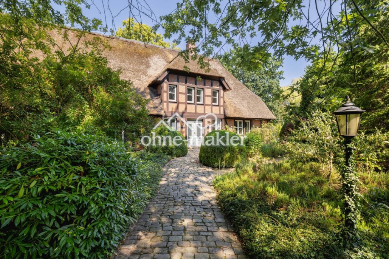 Blick im Vorgarten 