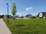 Baufeld