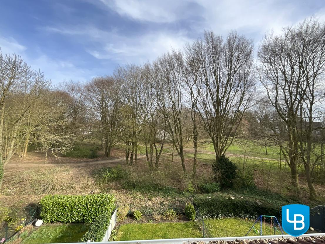 Blick ins Grüne
