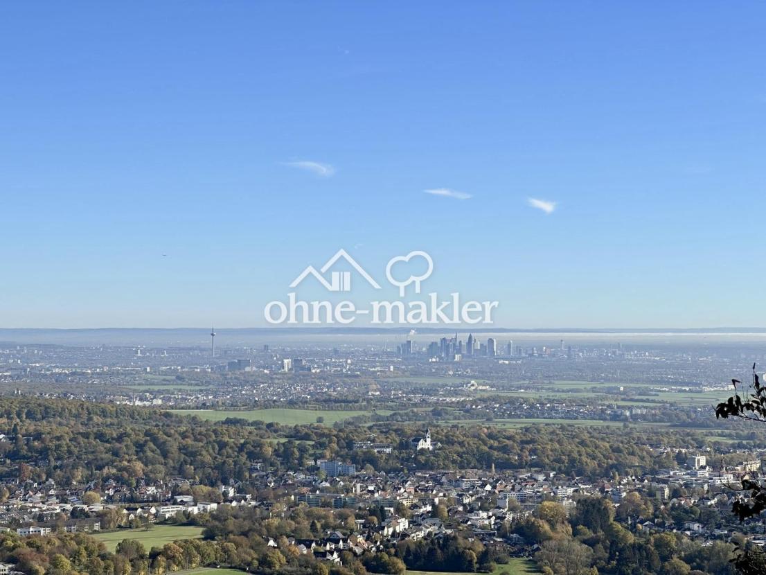 Fernblick