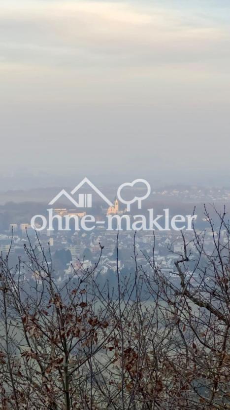 Fernblick