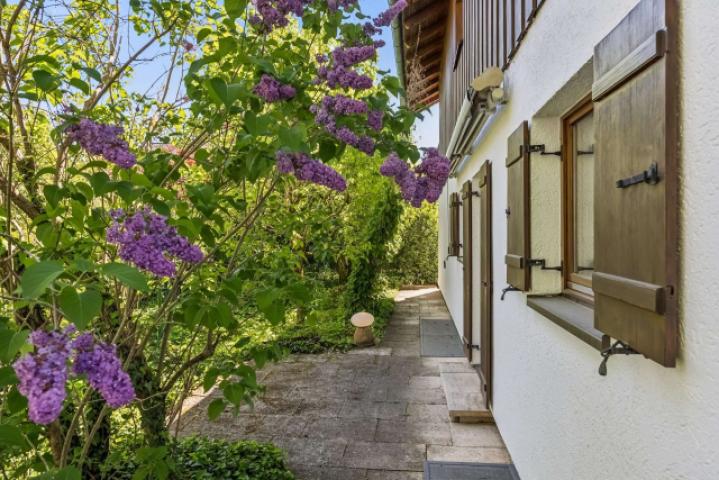 Garten hinter dem Haus