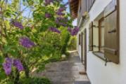 Garten hinter dem Haus