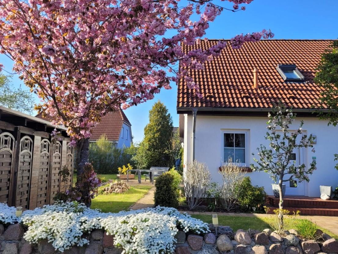 Haus Seitenansicht 1
