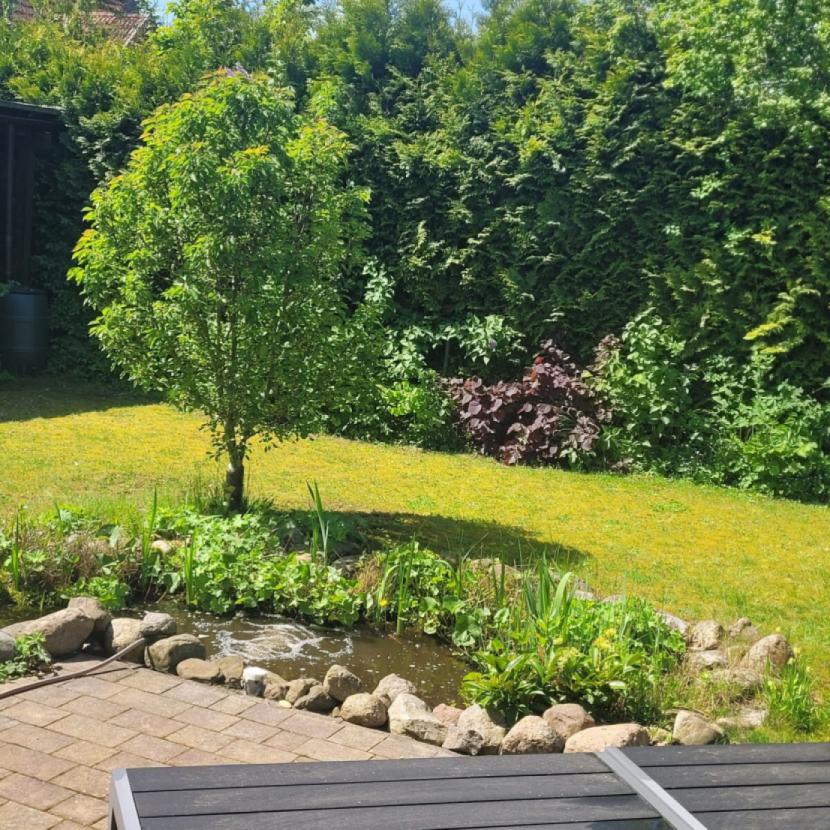 Garten 1