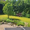 Garten 1