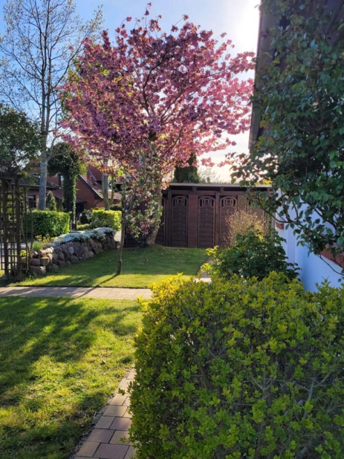 Garten 2