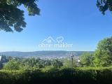 Blick auf Stuttgart vom Park