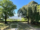 Panorama Garten