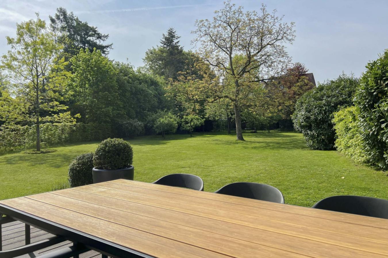 Blick in den Garten