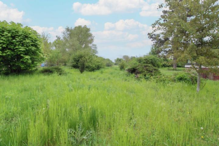 Gartengrundstück (3)