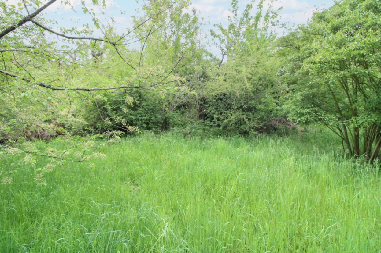 Gartengrundstück (4)