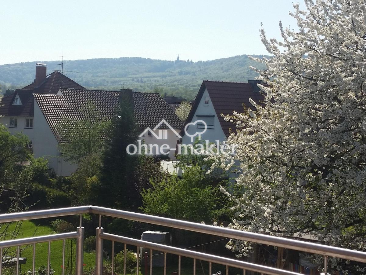 Kirschenblüte vor dem Herkules