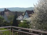 Kirschenblüte vor dem Herkules