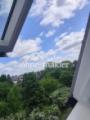 Blick zum Hof 