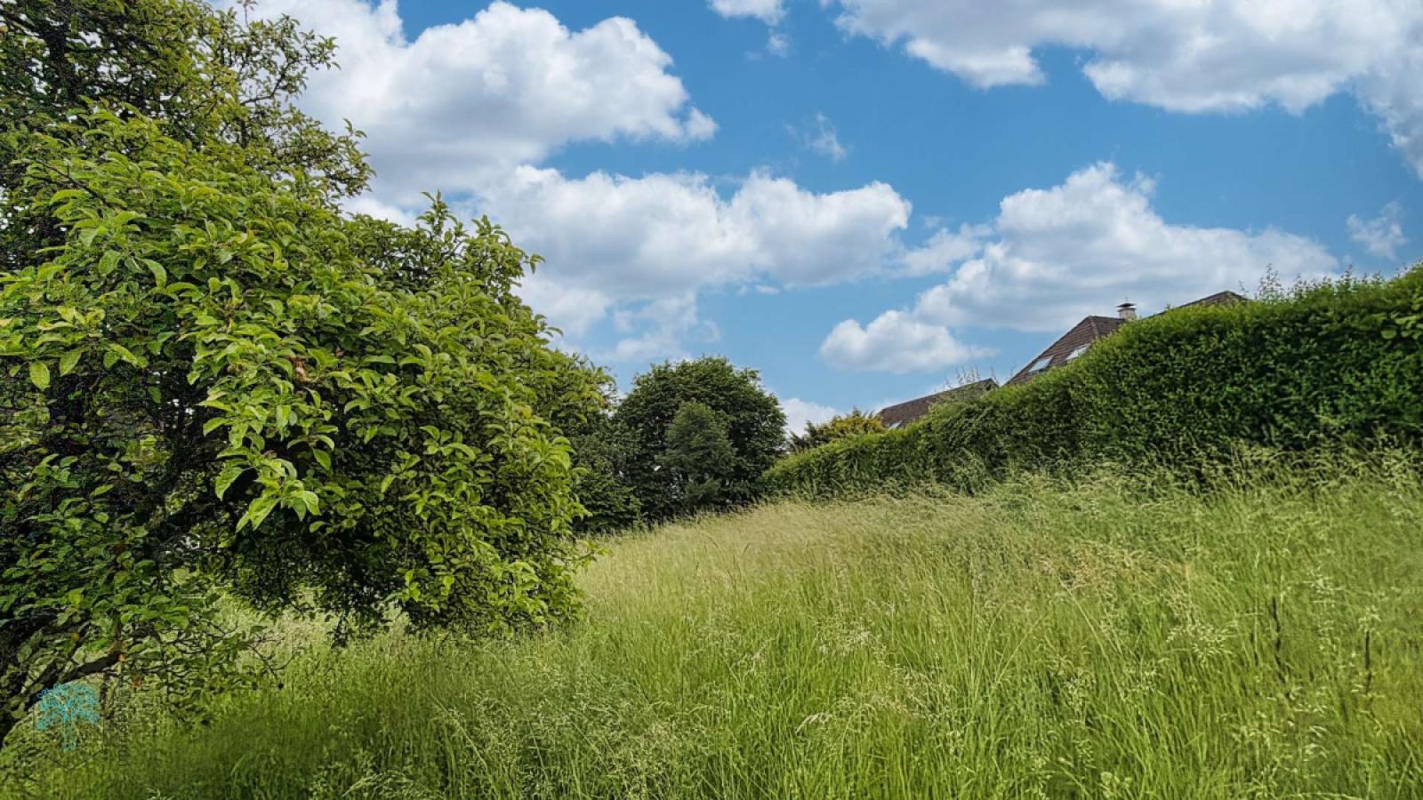 Garten + Bauland