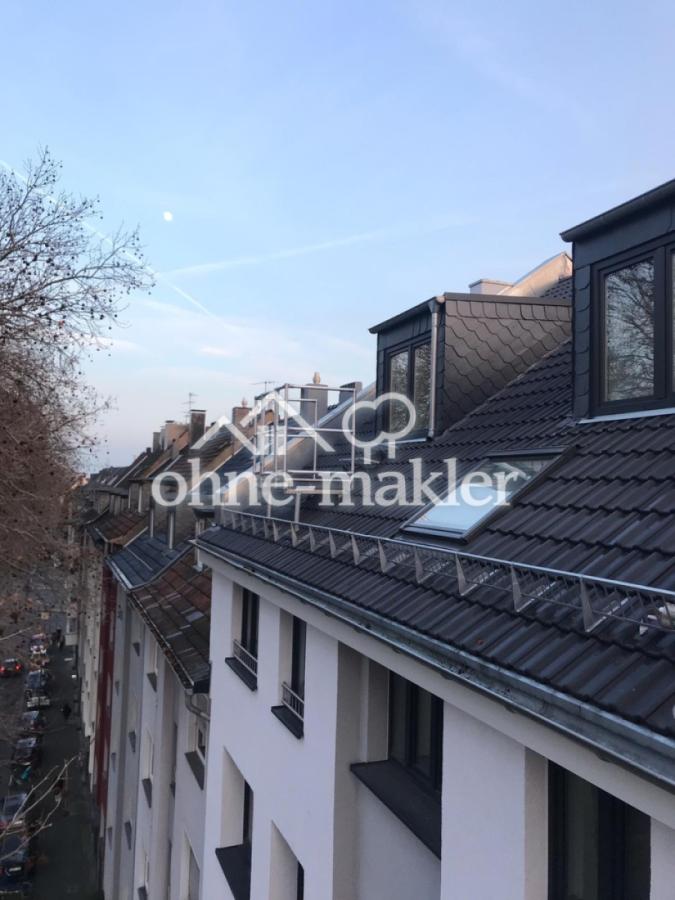 Dach Bild 3