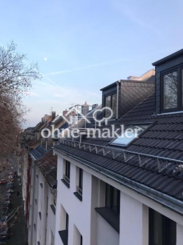 Dach Bild 3