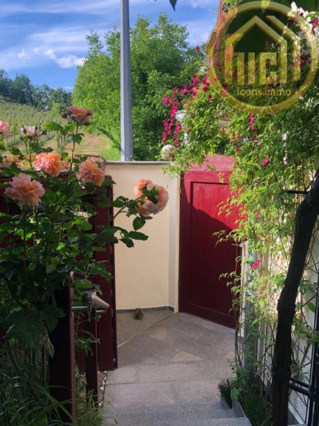 IC-525 Gartenblick