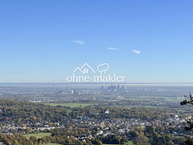Fernblick