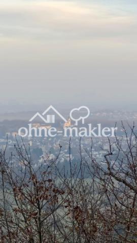 Fernblick