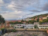 Blick von der Terrasse
