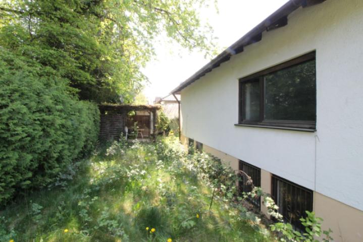Garten Hinten