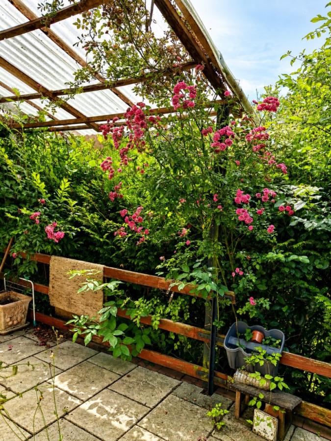 Blick aus dem Esszimmer