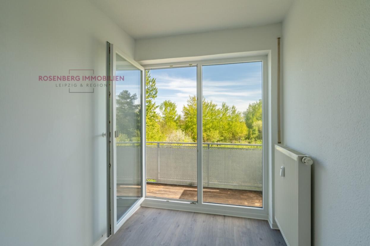 Immobilie in Leipzig zu Verkaufen_2-Raum_Zugang zum Balkon