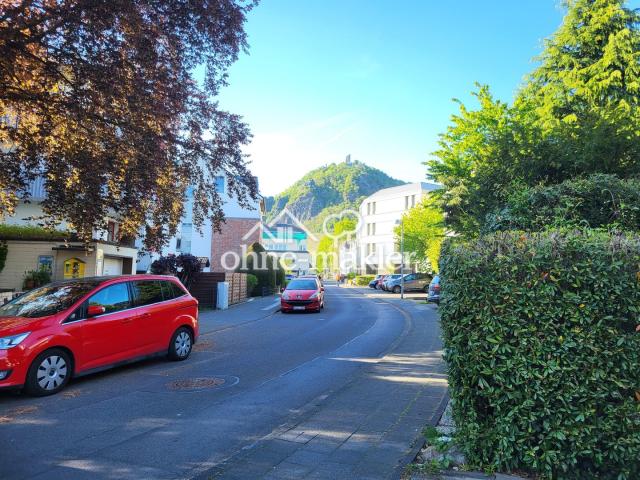 Mühlenweg vom Grundstück aus