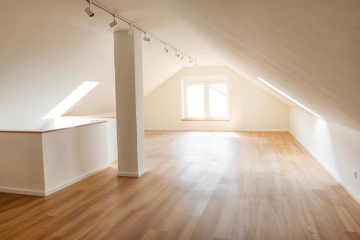 Zimmer DG 