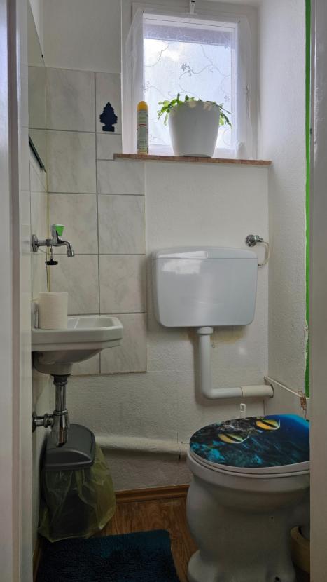 DG - WC